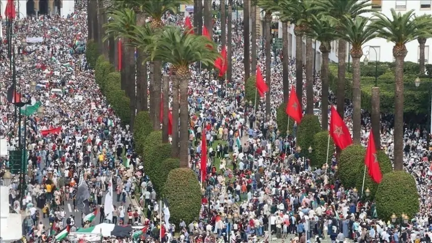  دعم المغرب الخلفي لحرب إسرائيل على غزة